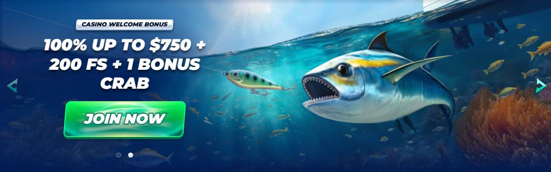 Claim BassBet welcome bonus with free spins and crab